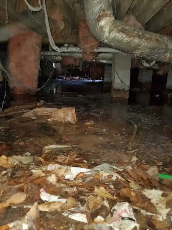 Crawl space flood assessment for Leak Detection & Repair in Woods Cross